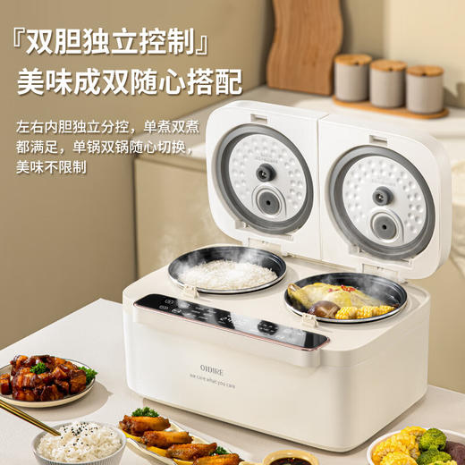 德国OIDIRE 柔音破壁机/豆浆机 ODI-PBJ38 +迷你全自动洗衣机ODI-XYJ15 +多功能双胆电饭煲ODI-SFB1+空气炸烤箱  ODI-KX19【GHCJ23.0】 商品图3