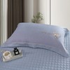 【轻奢高品质】全棉抗菌磨毛刺绣花漾床盖夹棉四件套 商品缩略图3