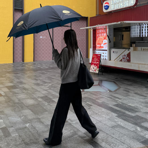 ROMI STUDIO“都市休闲”100%斜纹棉雾感内磨毛直筒休闲裤 431K6092 商品图2