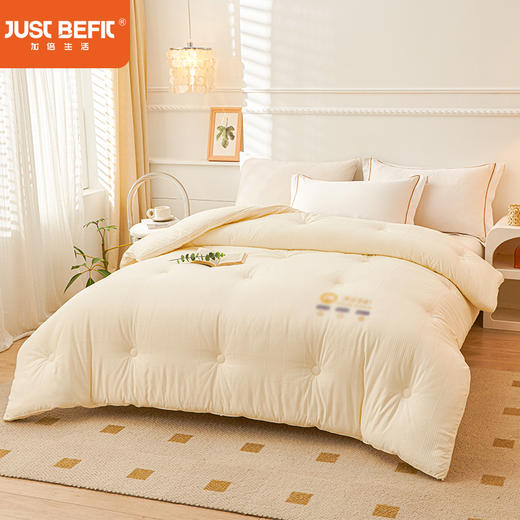 【品牌直发】加倍生活  蚕宝双蛋白养肤被 丝滑蚕丝   提花工艺 压边缝合 四季被冬被 商品图2