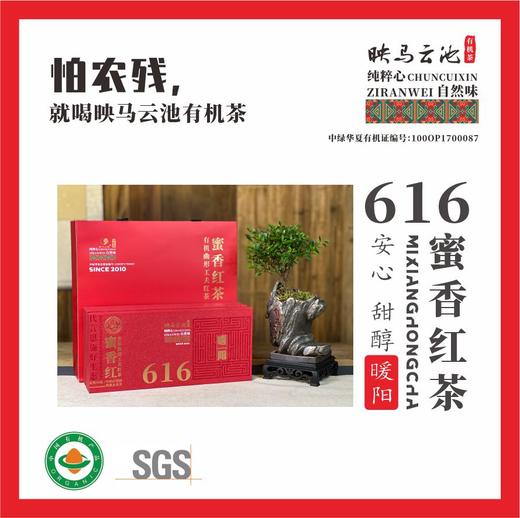 有机红茶  616蜜香红茶 暖阳 100g【基地直发】 商品图1