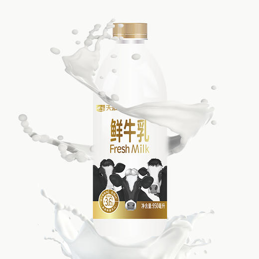 天润 TERUN  3.6g蛋白鲜牛乳 950ml 商品图2