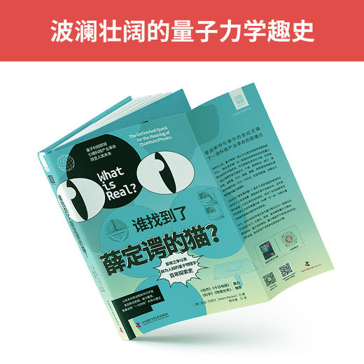 轻松趣读物理系列：谁找到了薛定谔的猫+物理就是这么酷（套装2册） 商品图1
