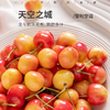 智利天空之城车厘子丨金车的天花板，遗落在人间的“小糖豆”，又脆又甜，每一口都是在刺激大脑释放多巴胺！产量非常稀少，喜欢吃的快下手！⭐️顺丰空运 商品缩略图0