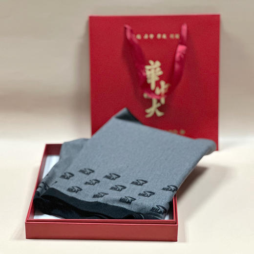 华中科技大学秋冬双面真丝绒围巾 商品图3