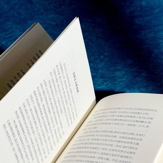 瞧 这个诗人 埃贡·弗里德尔 六点图书 散文体 现代文化史 哲学 商品图13