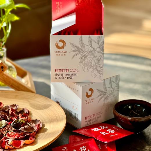 桂花红茶 一盏好茶 便携 商品图1
