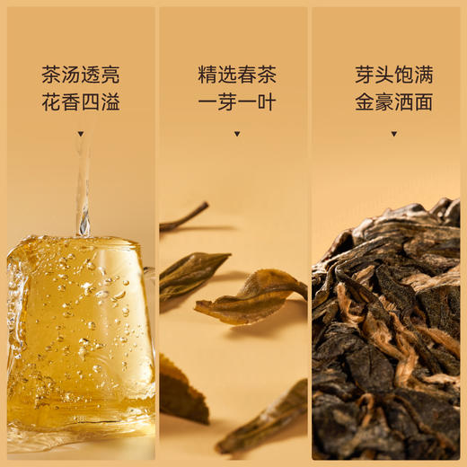 贝叶集普洱茶景迈生普2019年老茶古树茶纯料高端茶叶礼盒送领导 商品图4