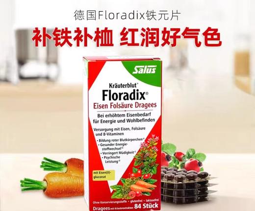 德国红铁元片Floradix补铁叶酸片剂莎露斯铁元素红铁便携装 84粒 商品图2