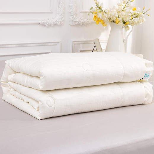 多喜爱 恬梦微醺蚕眠舒柔春秋被/冬被 桑蚕丝被 暖柔搭档蓬松和保暖手感柔软亲肤舒适吸湿透气性好 商品图4