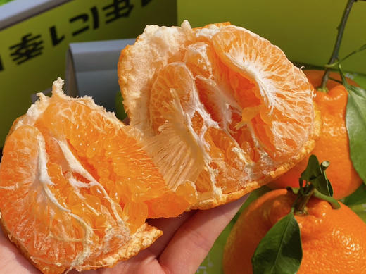 春见耙耙柑，浓郁好吃 商品图5