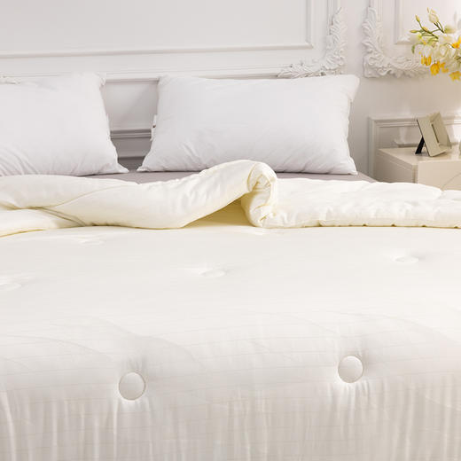 多喜爱 恬梦微醺蚕眠舒柔春秋被/冬被 桑蚕丝被 暖柔搭档蓬松和保暖手感柔软亲肤舒适吸湿透气性好 商品图2