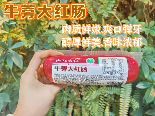 上海70年老字号-沪上800+门店【特级品质/淀粉≤3%-山林牛蒡大红肠】 加天然牛蒡根调味，精选上好的猪后腿冷鲜肉 肉质鲜嫩、有嚼劲 、弹性好、香味浓 商品图2