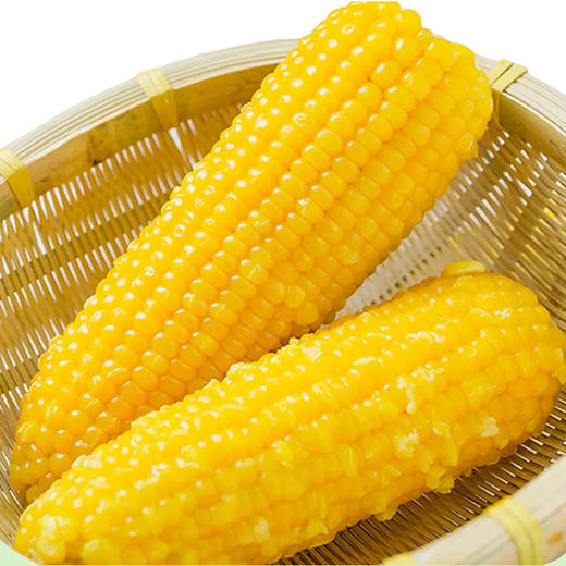 抢! 东北黄糯玉米 非转基因 东北黑土地种植 0农残0添加 自然香甜软糯 商品图10