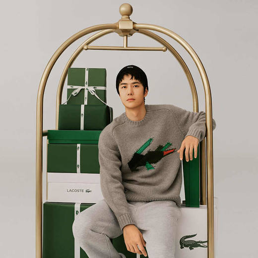 Lacoste【王一博同款】法国鳄鱼男装保暖圆领羊毛针织衫AH3145-10 商品图0