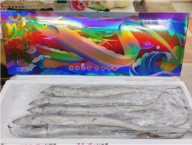 渔老板舟山刀鱼一箱