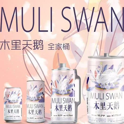 木里天鹅啤酒一箱 商品图3