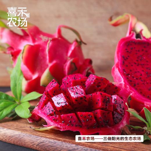 喜禾农场海南红心火龙果大果5斤装（5-6个）| 自然成熟、清甜不腻、果肉绵密、汁水超足 商品图1