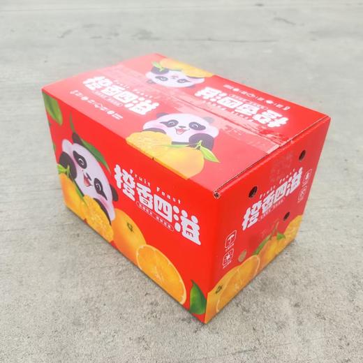 【春见耙耙柑】春见耙耙柑 四川眉山耙耙柑 现摘现发 手剥柑橘 丑柑 商品图1