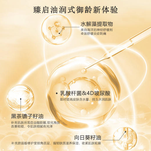 嘉顿肯妮家居Y美系列植萃滋养油维A精粹液原B5精华液滋养精华油美容院正品直发 商品图3