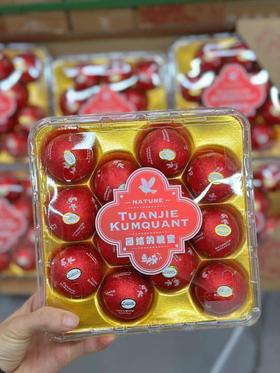 脆蜜金柑特级果（12粒装）