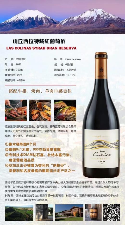 智利进口山丘西拉特藏红葡萄酒 整箱750ml*6瓶包邮 商品图3