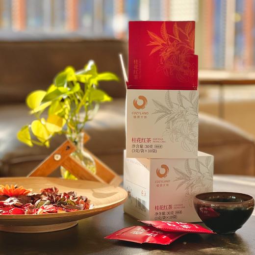 桂花红茶 一盏好茶 便携 商品图2