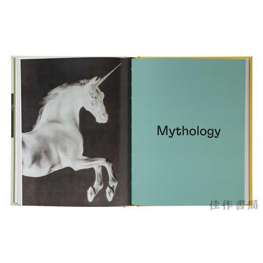 Horses in Art / 艺术中的马 商品图2