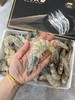 【真正的海捕大虾】青岛大虾 一周内捕捞  新鲜超甜！不同规格可选 商品缩略图1