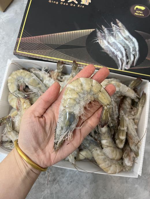 【真正的海捕大虾】青岛大虾 一周内捕捞  新鲜超甜！不同规格可选 商品图1