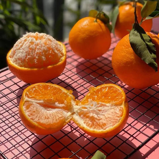 四川春见耙耙柑8斤彩箱装【分仓直发，72小时发货，周末节假日不发货】 商品图1