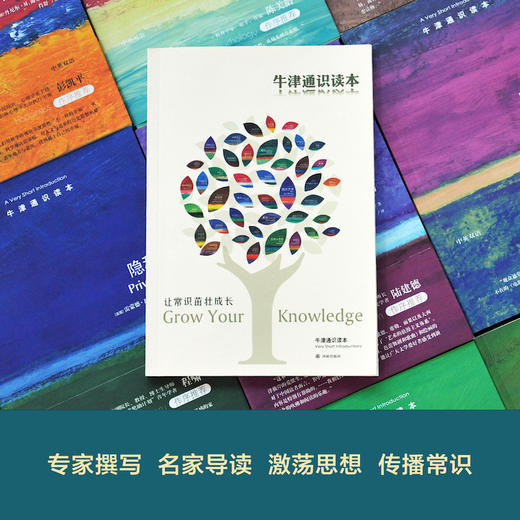 【牛津通识】人生的意义 商品图5