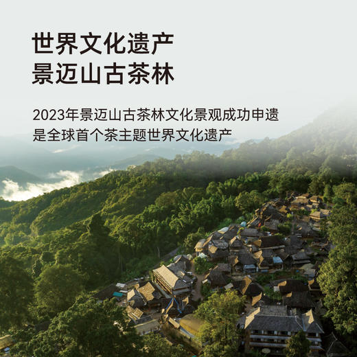 贝叶集普洱茶景迈生普2019年老茶古树茶纯料高端茶叶礼盒送领导 商品图1