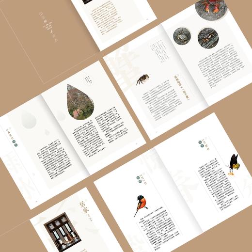 《城市邻里》  城市观察随笔记 动植物手绘生态环境 曲利明编著 海峡书局【官方正版 48小时发货】 商品图1