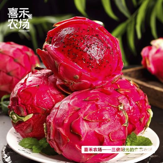喜禾农场海南红心火龙果大果5斤装（5-6个）| 自然成熟、清甜不腻、果肉绵密、汁水超足 商品图3
