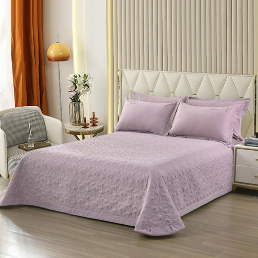 【简约轻奢风】全棉磨毛肌理纹刺绣床盖夹棉四件套 商品图1
