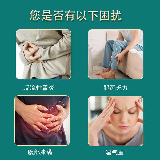 茯苓甘草汤 商品图4