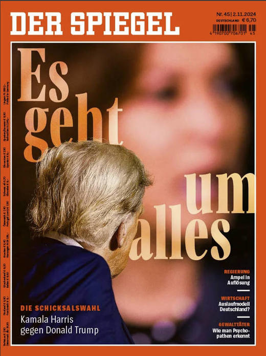 Der Spiegel - 2024.11.02 商品图0