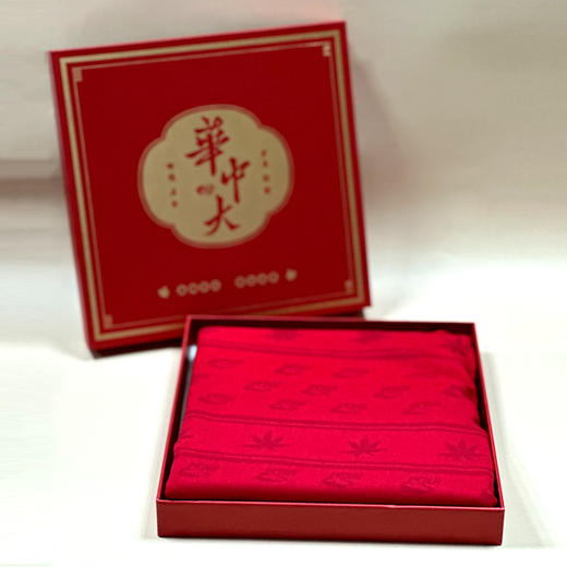 华中科技大学秋冬双面真丝绒围巾 商品图5