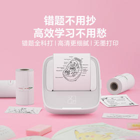 汉印S1错题打印机学生便携式错题免抄神器小学初高中生错题扫描迷你小型打印机家用小型喵喵机手机蓝牙 S1错题打印机【203dpi+48mm宽幅】