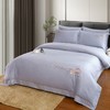 【轻奢高品质】全棉抗菌磨毛刺绣花漾床盖夹棉四件套 商品缩略图1