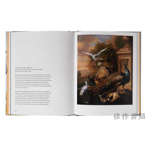 Birds in Art / 艺术中的鸟类 商品图4