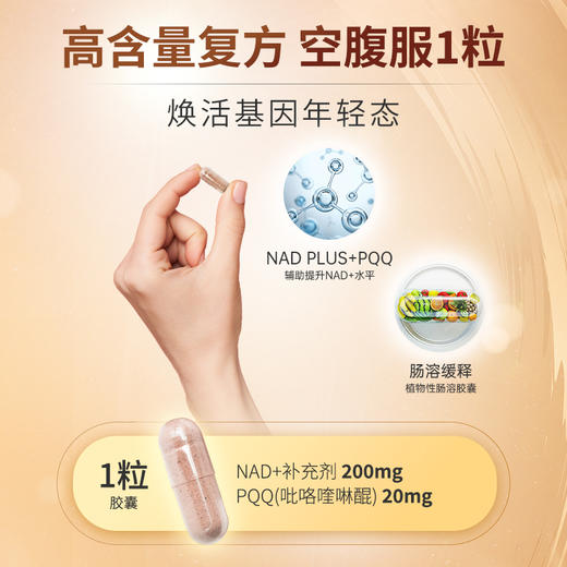 Ensonkan安迅康 加拿大进口PLUS NAD+PQQ复合型补充剂线粒体抗衰前体 便携10粒/包 商品图5