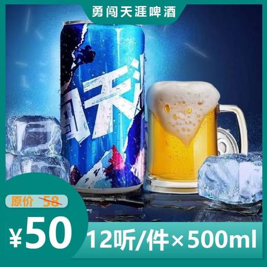 勇闯天涯12瓶*500ml/件 商品图0