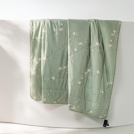 【分仓直发包邮】BOSS印花轻柔被HBXW-057 商品图2