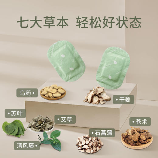 后辰发热足贴（HC）【龙菲精选】 商品图0