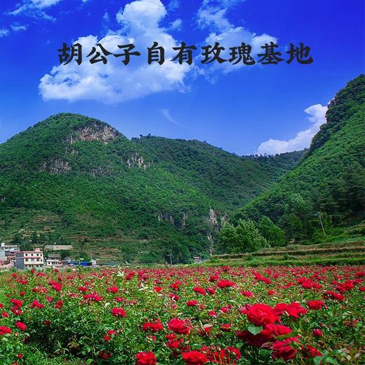 【云南玫瑰鲜花饼】花香浓郁 唇齿留香 花馅含量超40% 玫瑰花香 酥脆外皮 一盒8枚装4个口味（原味，抹茶，紫薯，燕麦）多种规格任选 商品图1