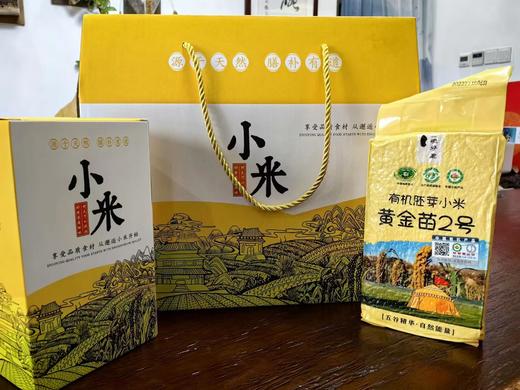 【有机胚芽黄金苗2号小米】【会员专享】 【六星推荐】沙漠与草原交界处，原生态，保留胚芽营养，有机方式种植，老种子【港澳台西藏新疆不售】 商品图9