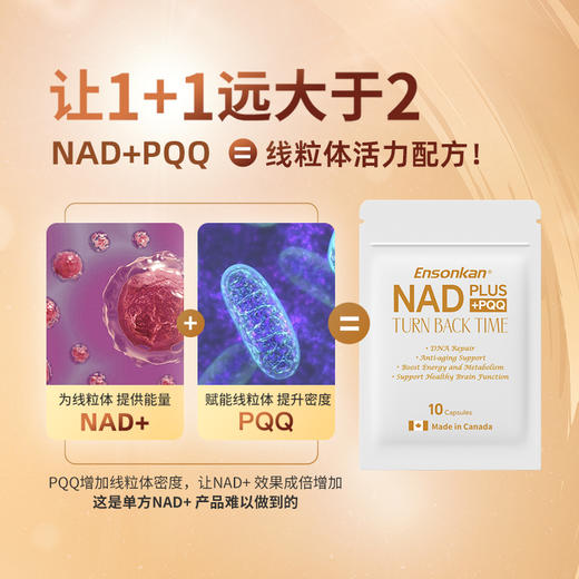 Ensonkan安迅康 加拿大进口PLUS NAD+PQQ复合型补充剂线粒体抗衰前体 便携10粒/包 商品图2
