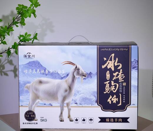 优选丨新疆天山哈萨克族天然放养冰渣驹里冷鲜礼盒装  商品图1